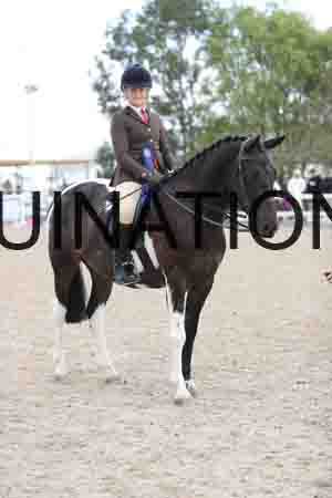 TOM-1575