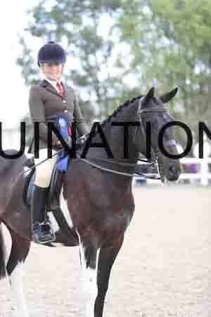 TOM-1578