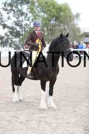 TOM-1579