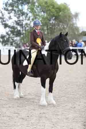 TOM-1580