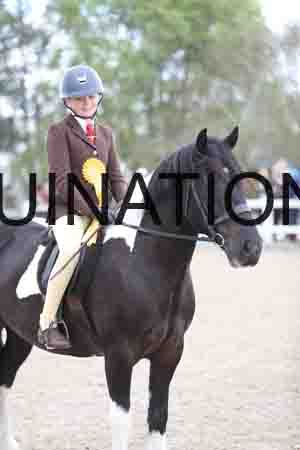 TOM-1582