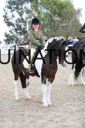 TOM-1584
