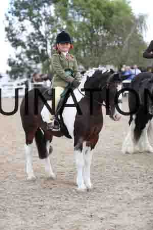 TOM-1585