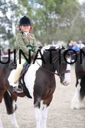 TOM-1586