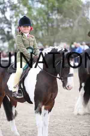 TOM-1587