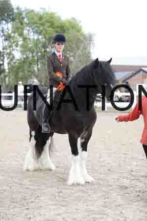 TOM-1588
