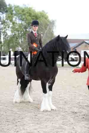 TOM-1589