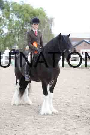 TOM-1592