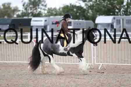 TOM-1593