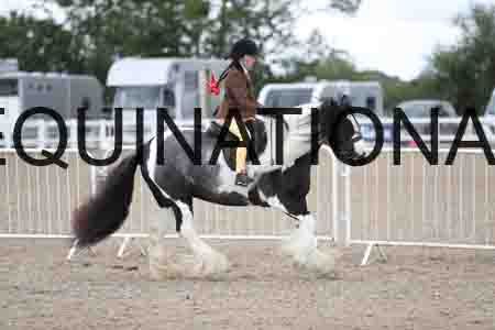 TOM-1594