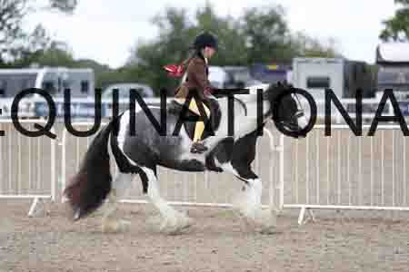 TOM-1595