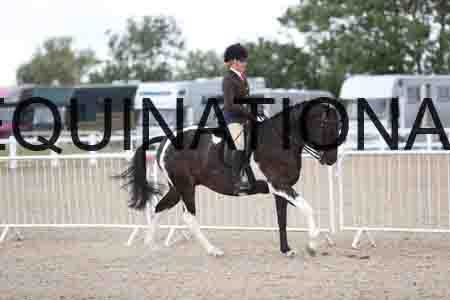 TOM-1596