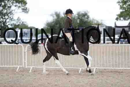 TOM-1597