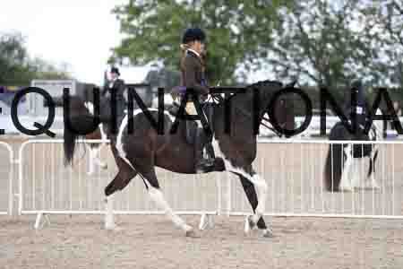 TOM-1598