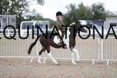 TOM-1601