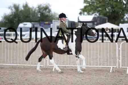 TOM-1602