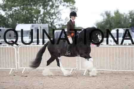 TOM-1603