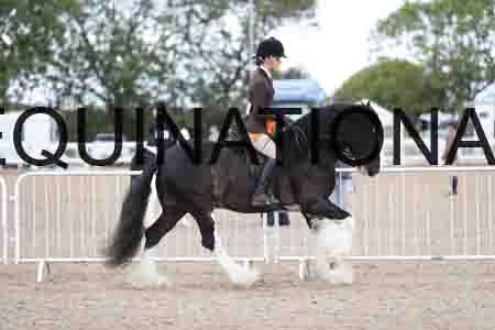 TOM-1605