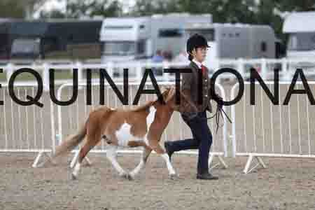 TOM-1609
