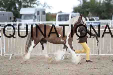 TOM-1628