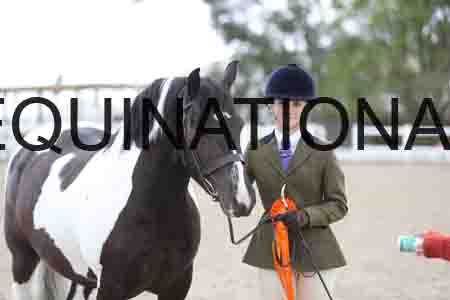 TOM-1652