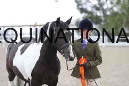 TOM-1654
