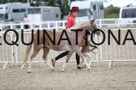 TOM-1678