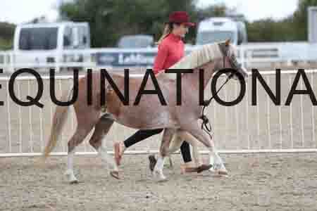 TOM-1679