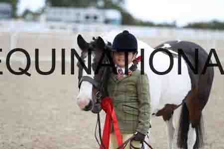 TOM-1696