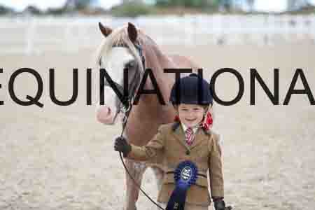 TOM-1699