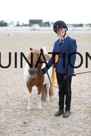 TOM-1701