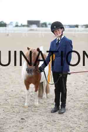 TOM-1702