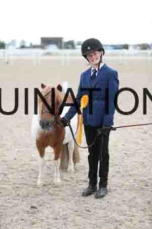 TOM-1703