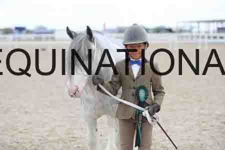TOM-1704