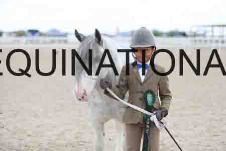 TOM-1705