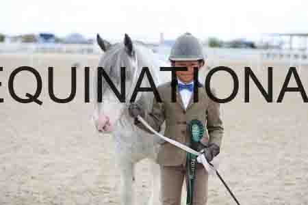TOM-1707