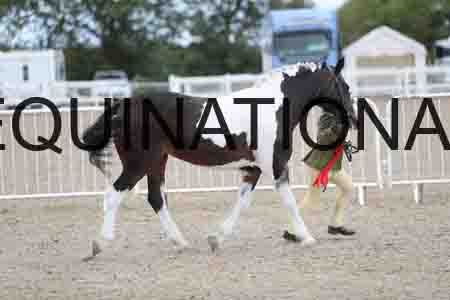 TOM-1708