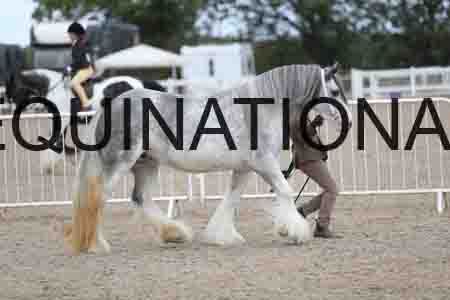 TOM-1719