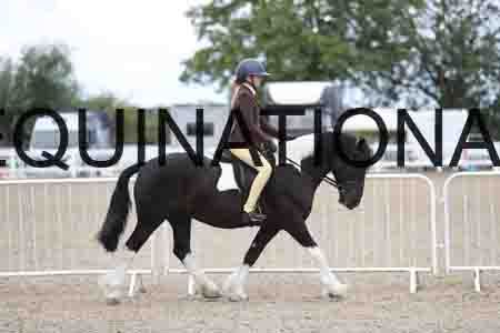 TOM-1724