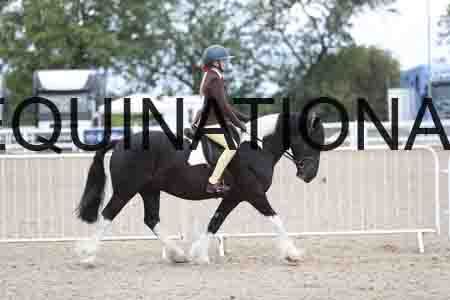 TOM-1725
