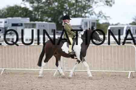 TOM-1726