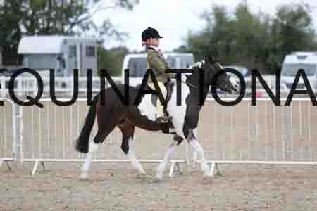 TOM-1727