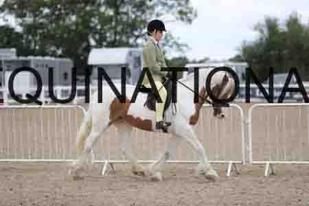 TOM-1729