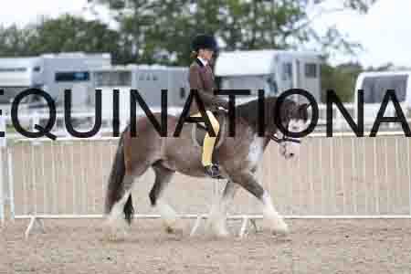 TOM-1731