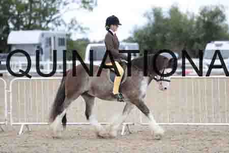 TOM-1732