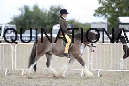 TOM-1733