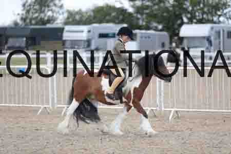 TOM-1734