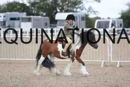 TOM-1735