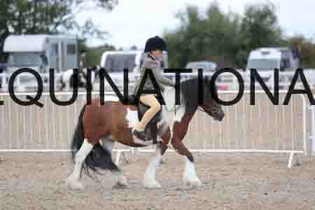 TOM-1736