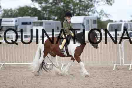 TOM-1737